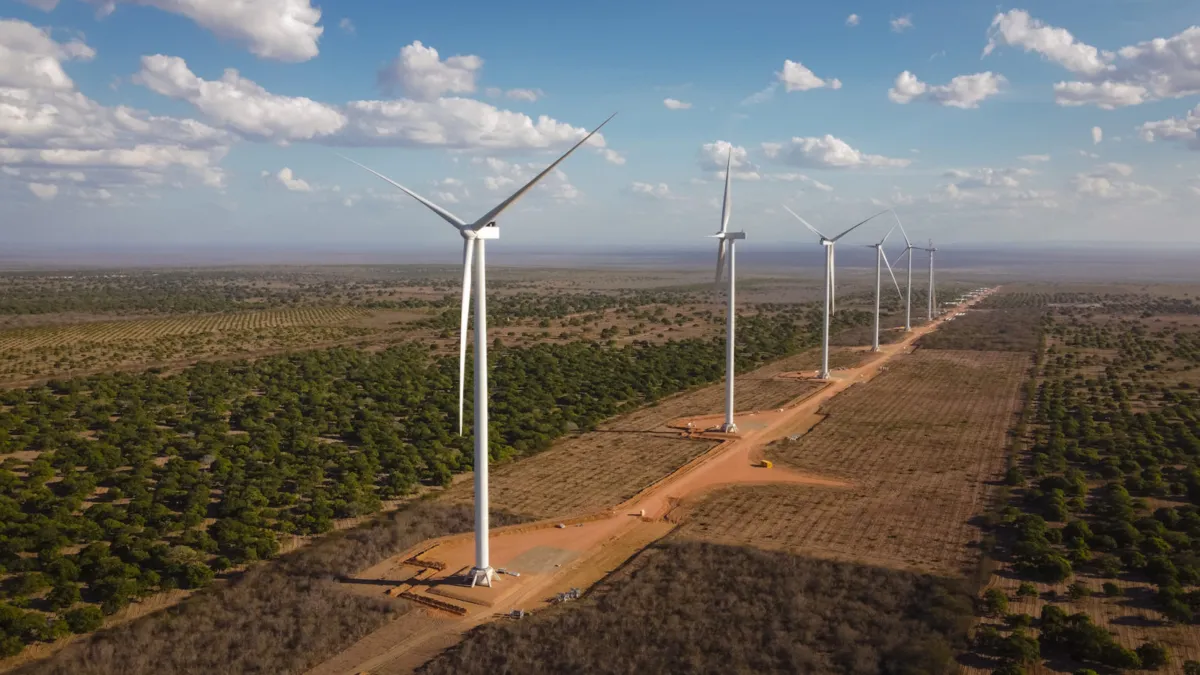 Local escolhido pelo empreendimento constitui área de ocorrência da arara-azul-de-lear, ave que se encontra em risco de extinção