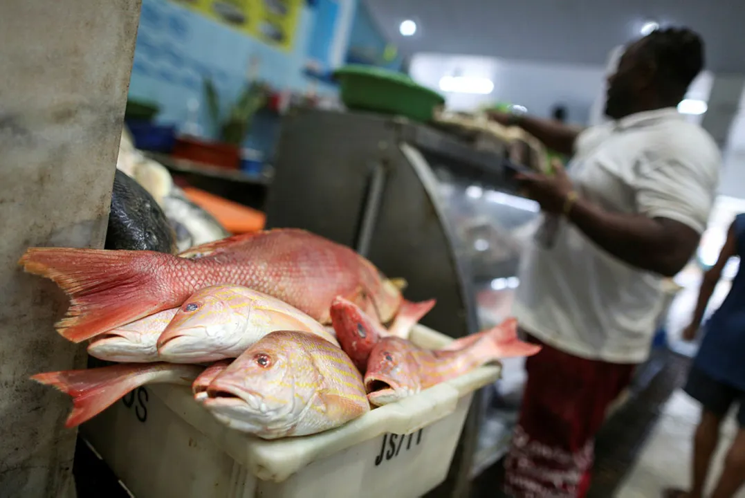 Imagem ilustrativa da imagem Nutricionista dá dicas para não errar na hora de comprar peixe