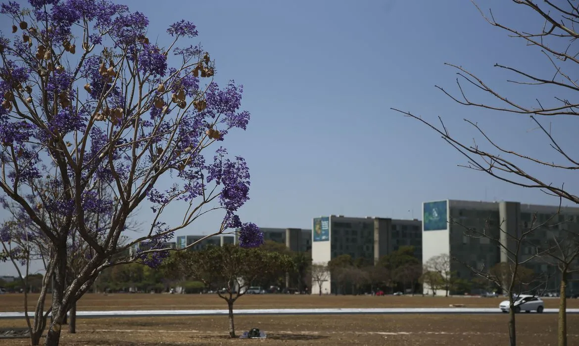 Observatório detectou retração na participação feminina nos cargos federais