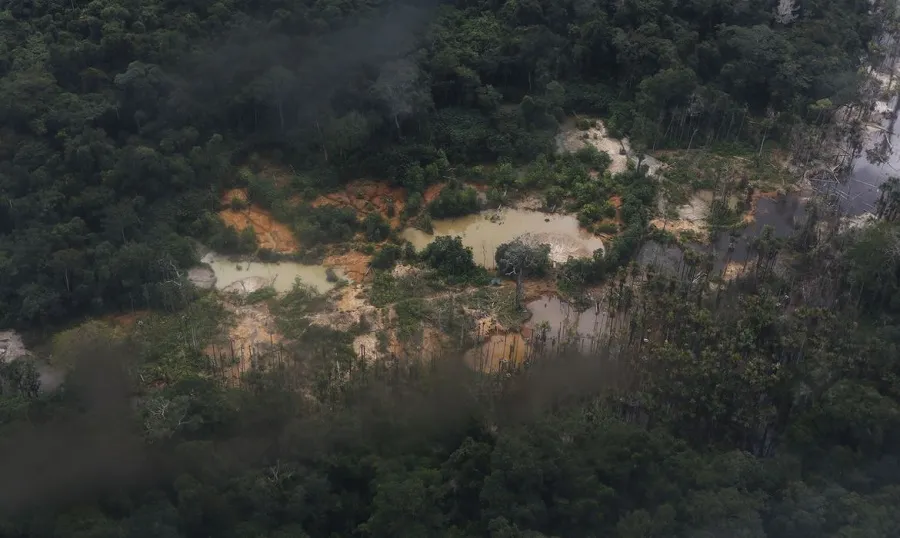 Operação durou cinco dias e desmantelou 34 acampamentos ilegais