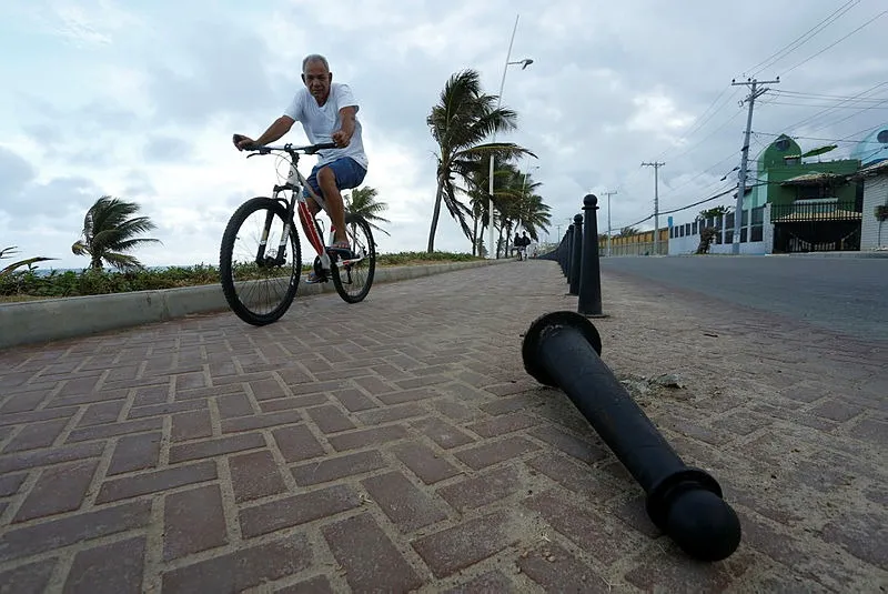 Tartarugas foram resgatadas na orla de Salvador