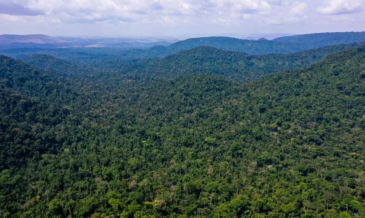 Lula anunciou que, em agosto, os oito países amazônicos irão se reunir para impulsionar uma nova agenda comum para a Amazônia