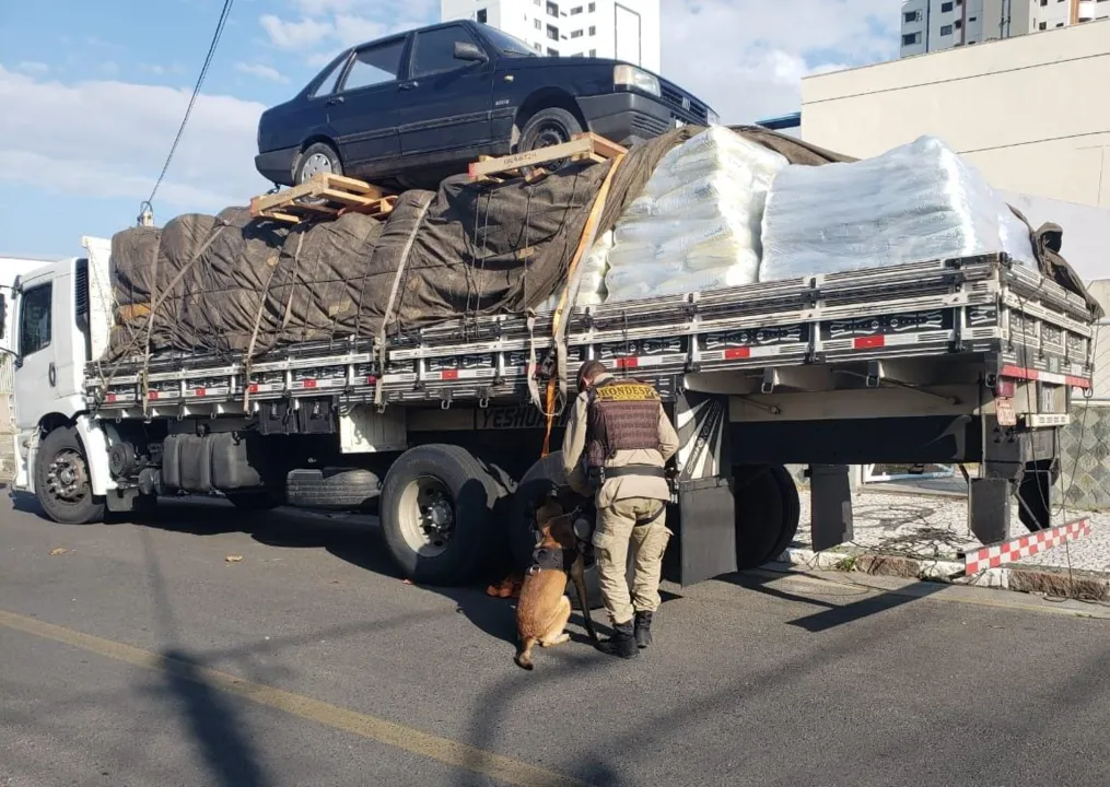 Droga saiu de São Paulo e seriam distribuídos nas cidades de Salvador e Feira de Santana.