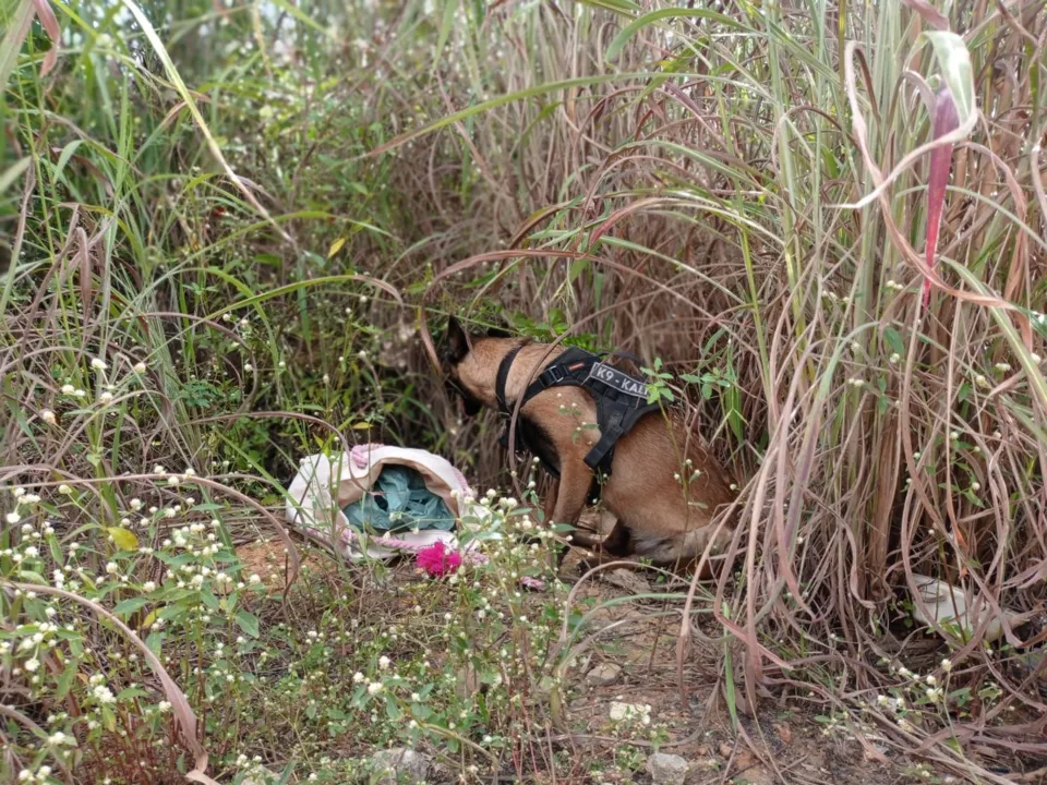 Cão farejador K9 Kalil foi levado ao local e encontrou a bolsa arremessada com 4,5 quilos de cocaína