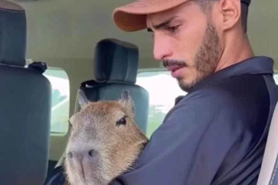 Filó e influencer Agenor Tupinambá