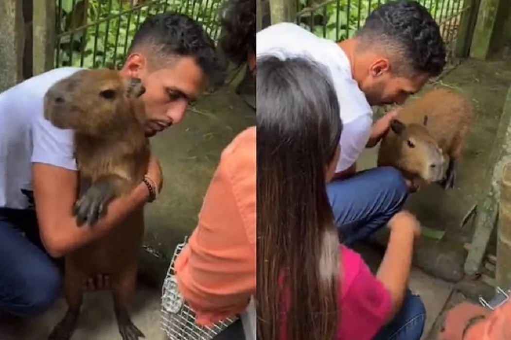 Capivara foi devolvida na manhã deste domingo