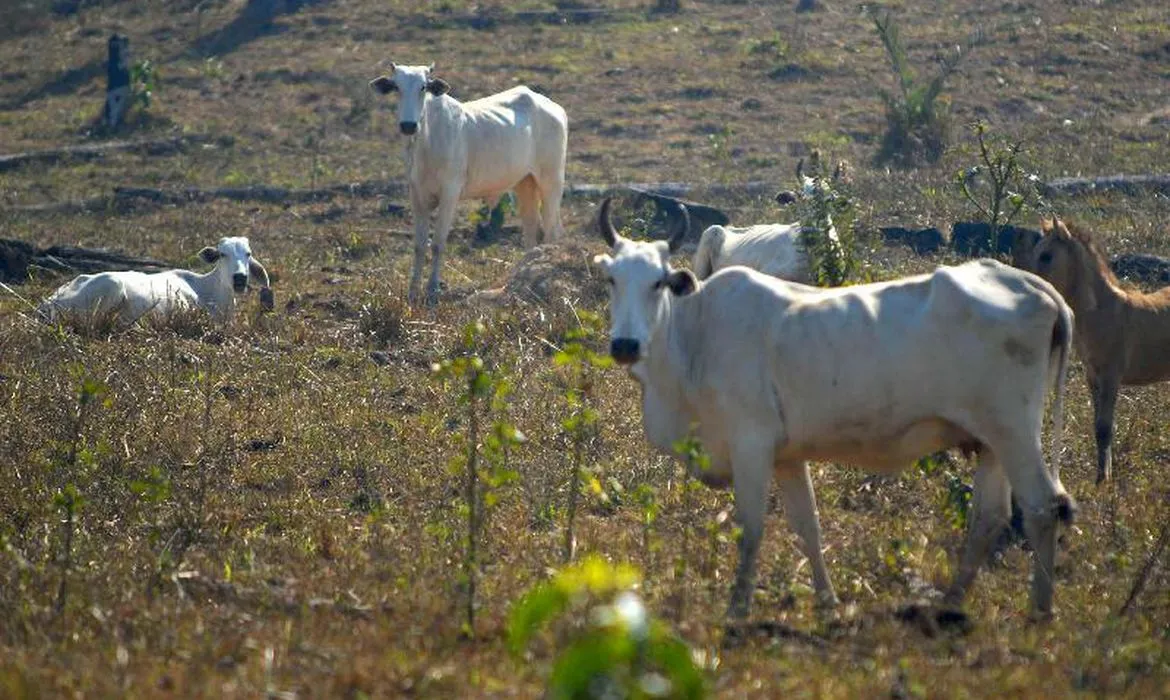 Plano Plurianual do agro movimenta entidades do setor na Bahia