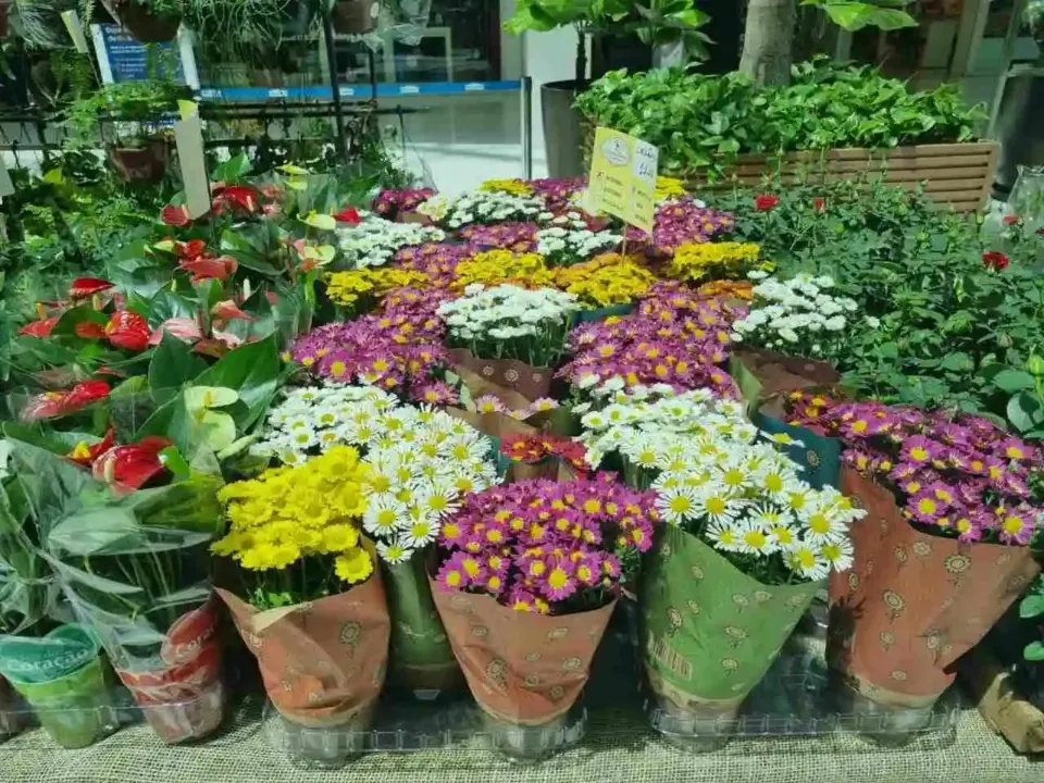 Além das plantas e flores, a Feira oferece também adubo orgânico, terra vegetal, adubos químicos, pedrinhas ornamentais para jardinagem, biogeo e muito mais