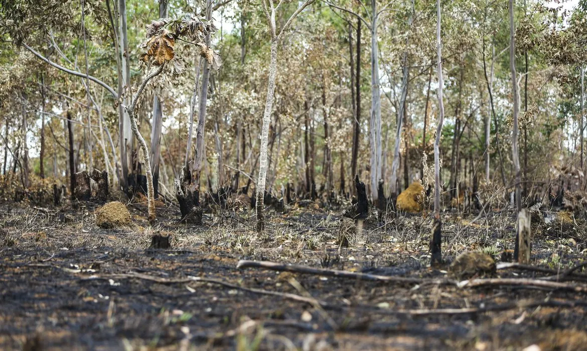 Utilizando imagens geradas por três satélites, foi possível rastrear a ação das chamas em território brasileiro