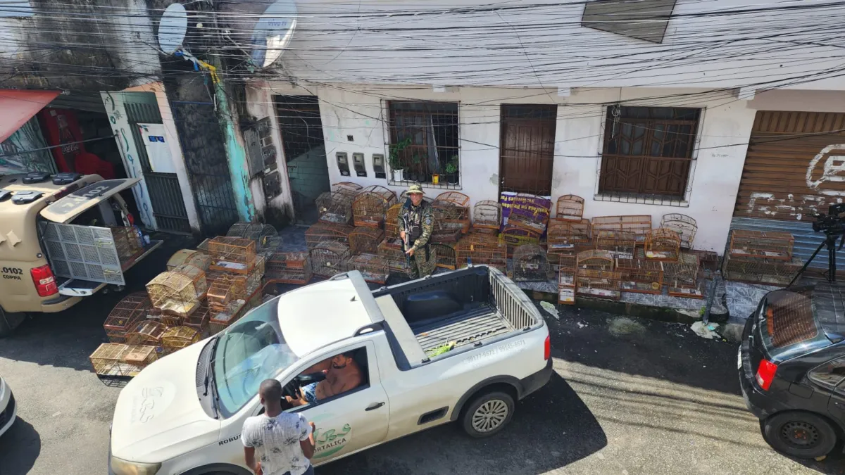 Flagrante foi realizado nesta sexta-feira, 12, em Salvador