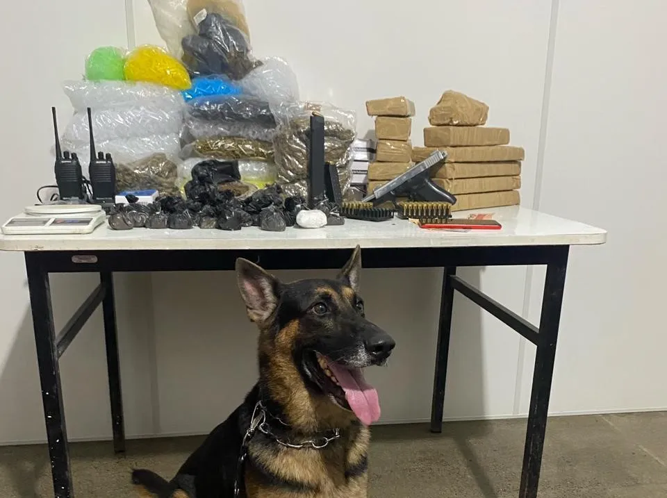 Apreensão foi realizada nesta quinta-feira, próximo ao Conjunto Habitacional Salomão