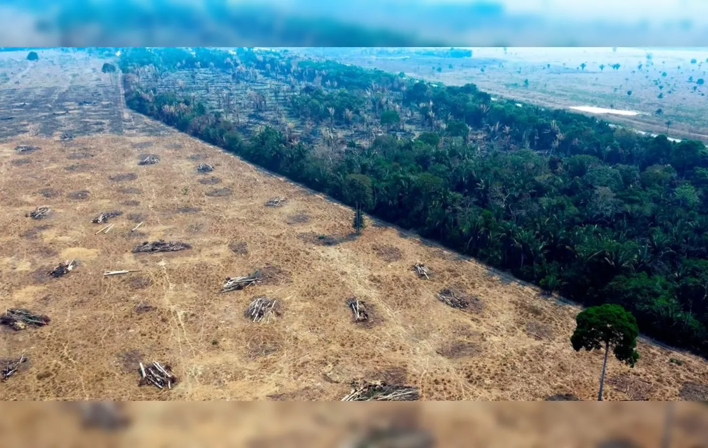 O monitoramento por satélite detectou 209 km2 de desmatamento na parte brasileira da maior floresta tropical do mundo
