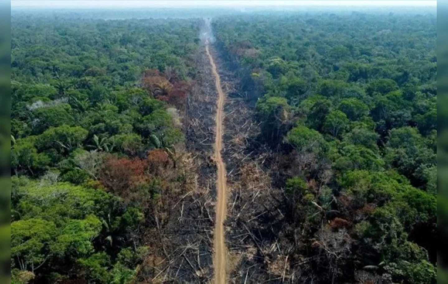 As áreas sob alerta de desmatamento na Amazônia Legal subiram para 321,9 km²