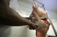 Imagem ilustrativa da imagem Suspensão de exportação de carne para China deve durar até abril