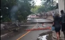Imagem ilustrativa da imagem Vídeo: queda de postes causa interdição do trânsito no Vale dos Lagos