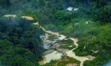 Imagem ilustrativa da imagem Greenpeace Brasil encontra 176 escavadeiras em terras Yanomami