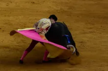 Imagem ilustrativa da imagem Espanha proíbe touradas com pessoas com nanismo