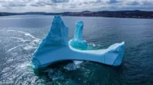 Imagem ilustrativa da imagem Foto de iceberg com formato de pênis viraliza nas redes sociais