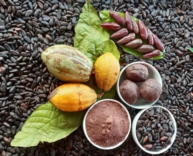 Imagem ilustrativa da imagem Produtores de uma das iguarias mais amadas preparam-se para a  Páscoa