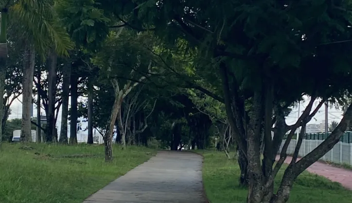 Você vai se surpreender com algumas paisagens do Caminho do Metrô