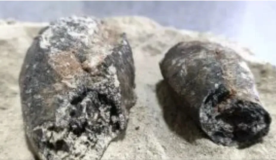 Pães mumificados foram encontrados no sertão baiano