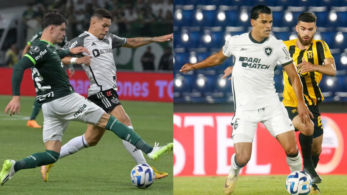 Palmeiras e Botafogo avançaram na Libertadores e Sul-Americana, respectivamente