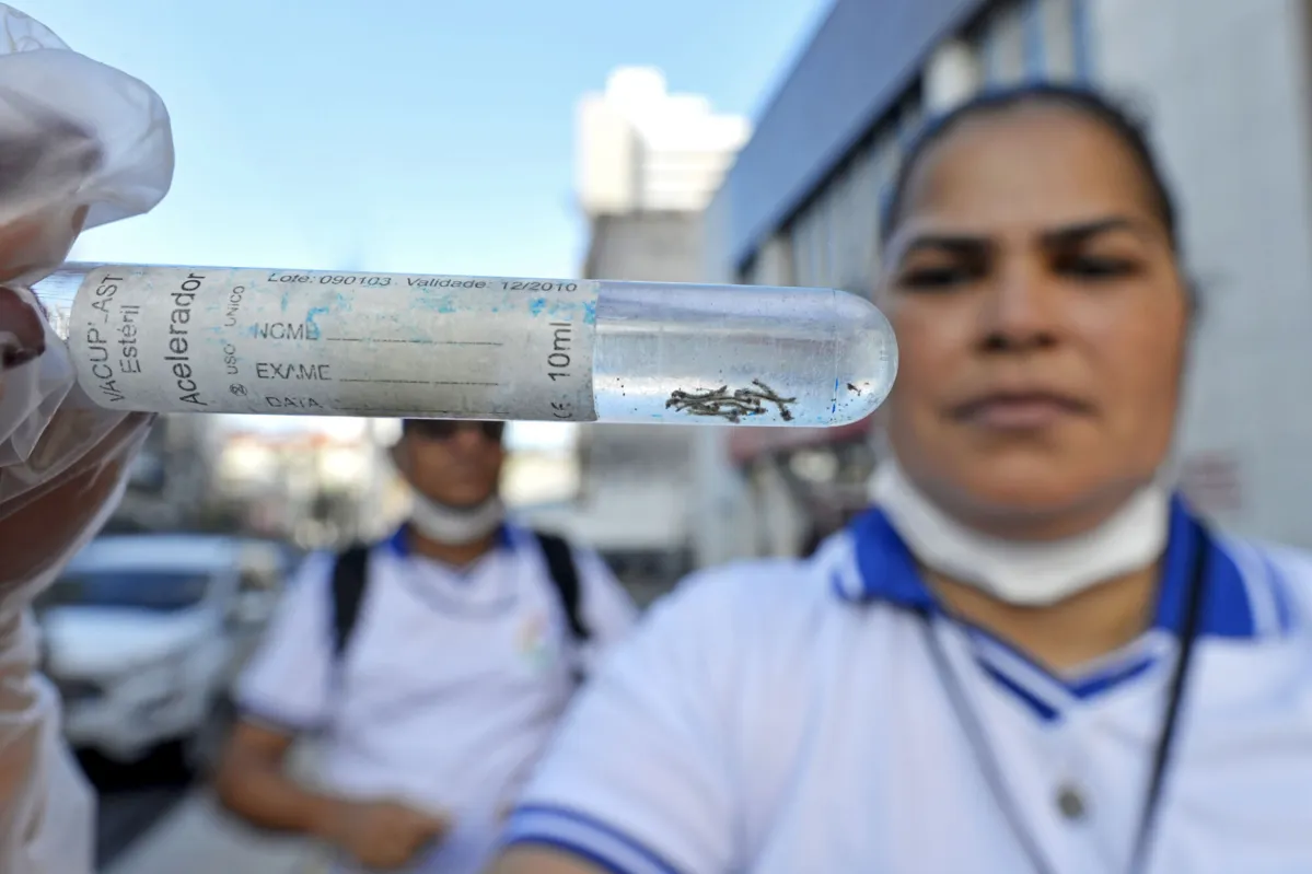 Ação da SMS em imóveis fechados para eliminar focos do Aedes Aegypti realizada em junho de 2023