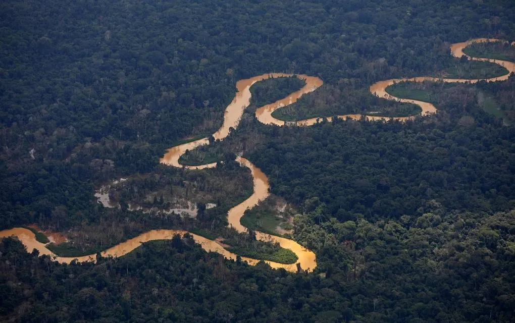 Imagem ilustrativa da imagem Ataque a tiros em aldeia yanomami mata criança e deixa cinco feridos