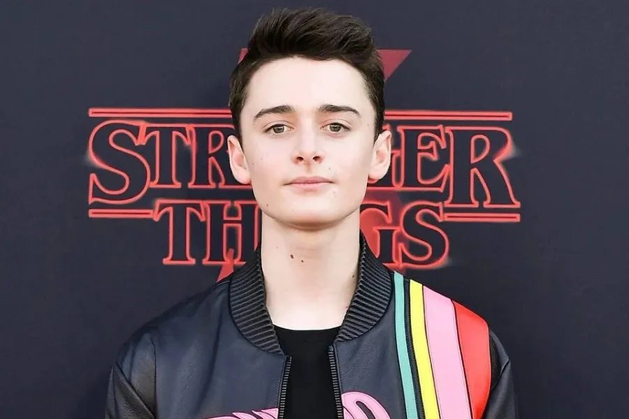 Noah Schnapp se assumiu gay em janeiro deste ano