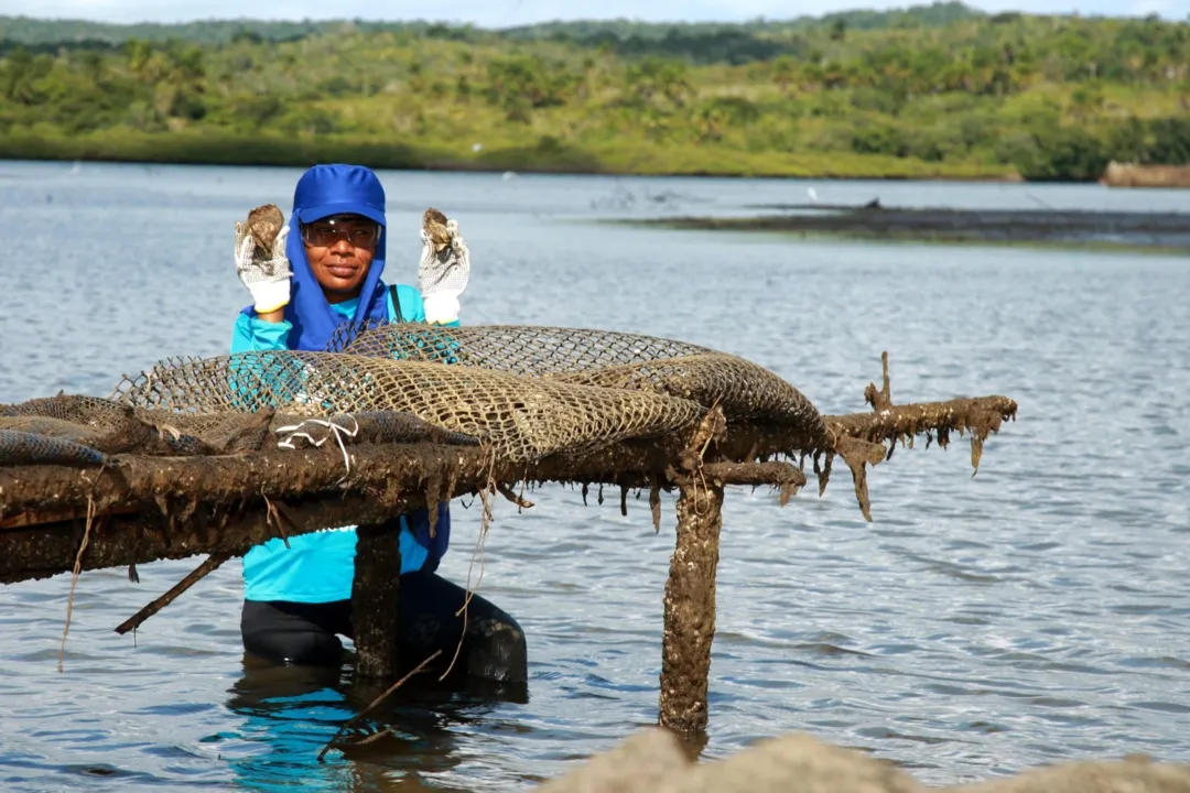 Bahia Pesca atende pescadores, marisqueiras e aquicultores do estado