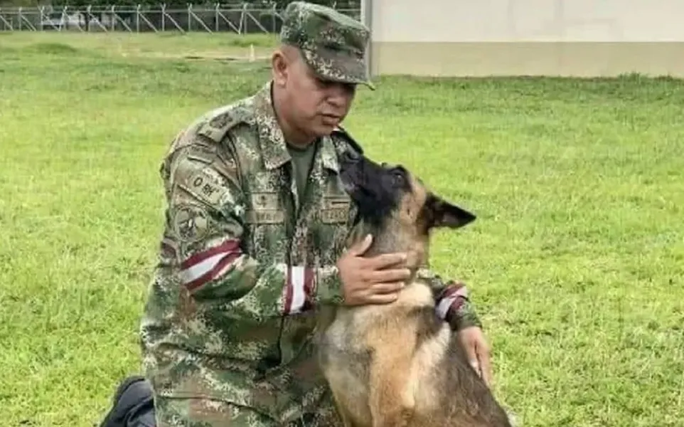 Antes de se perder, o cão orientou a tropa até pontos cruciais para o rastreamento das crianças