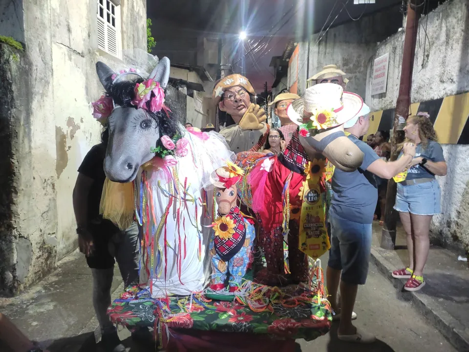 Casamento dos animais durante a festa