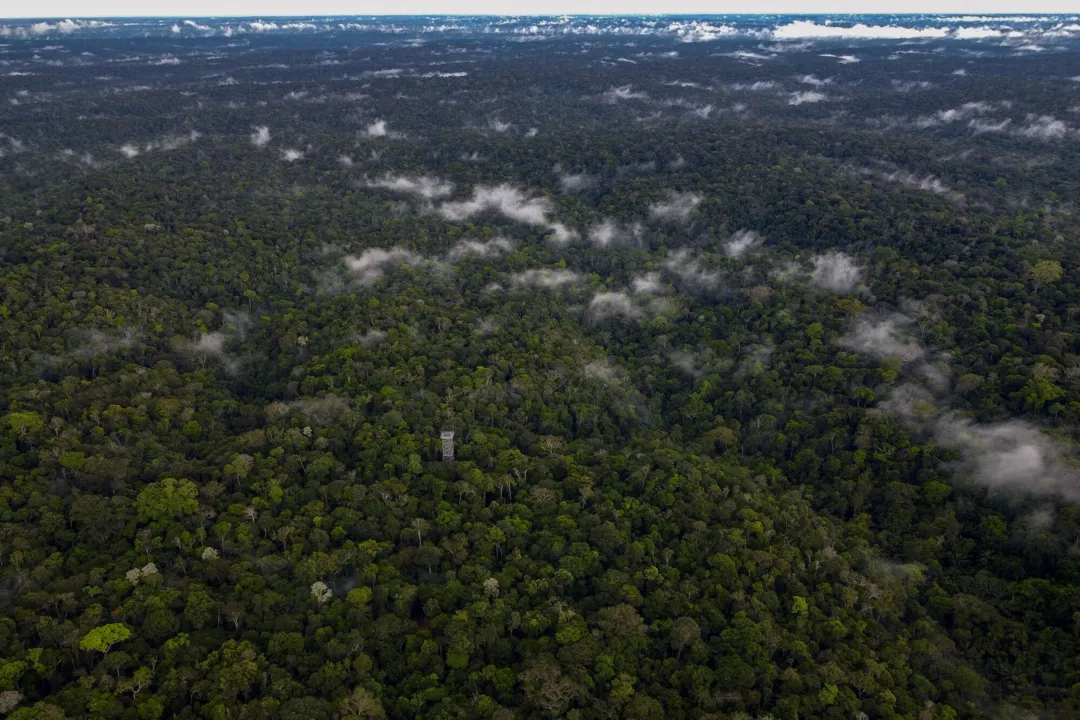 O desmatamento médio anual na Amazônia brasileira aumentou mais de 75% em comparação com a década anterior