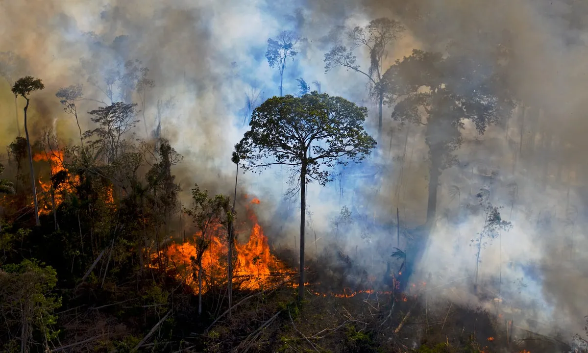 Dados estão no Relatório Anual de Desmatamento (RAD2022) produzido pelo MapBiomas