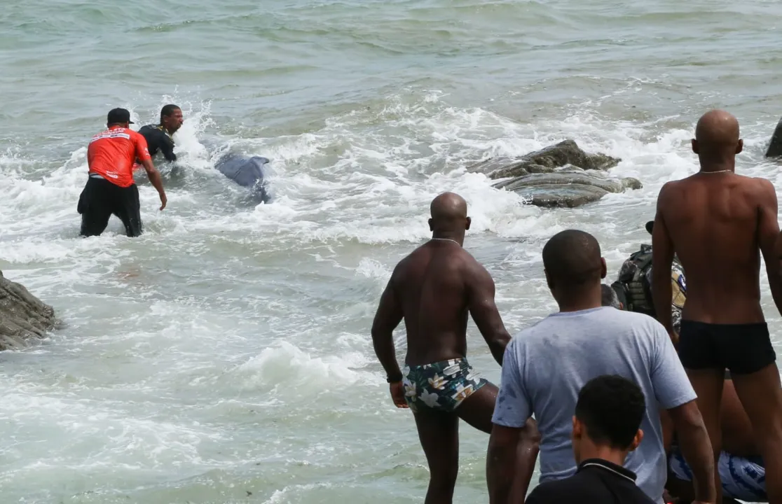 Banhistas e pescadores ajudaram a resgatar io animal
