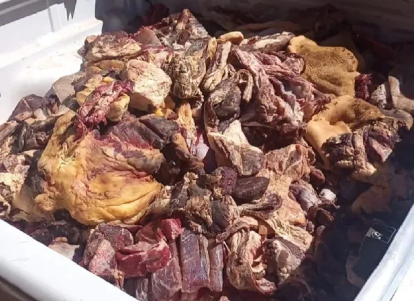 FPI informou que durante a inspeção ainda foram encontradas carnes em processo de decomposição