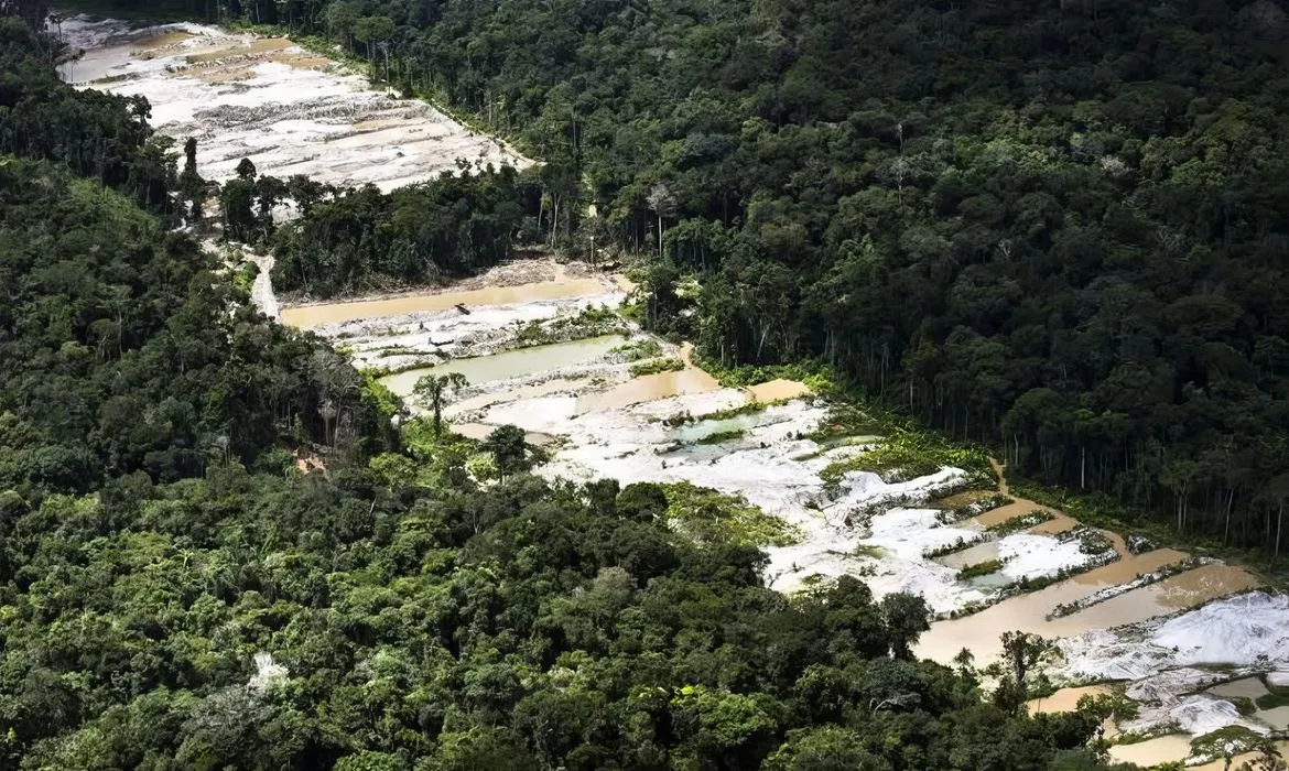R$ 4,5 milhões em multas foram aplicadas
