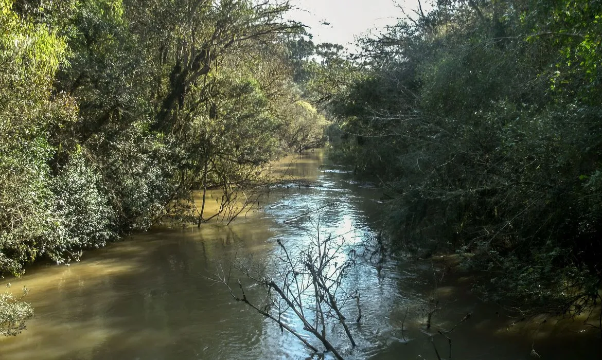 Ministério do Meio Ambiente anunciou ainda a retomada da conversão de multas ambientais no país