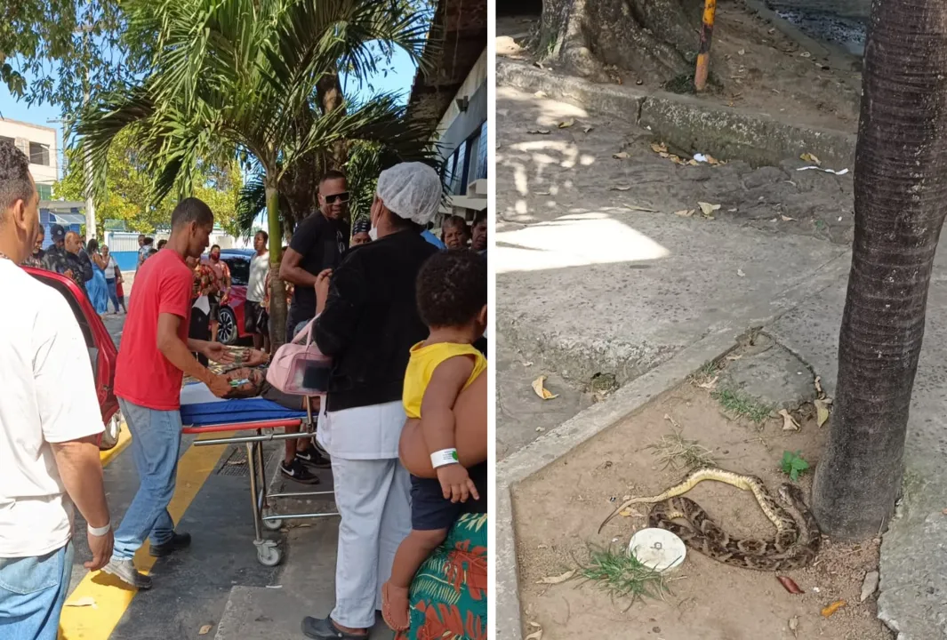 Após muitas tentativas, o idoso foi socorrido