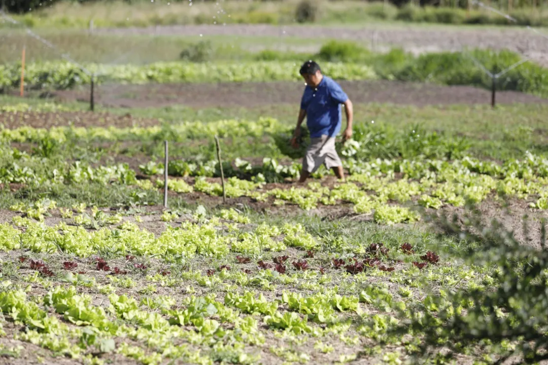 Pequenos produtores ganham via de acesso à terra