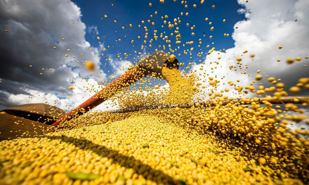 Ministério da Agricultura divulgou resultado do setor no país