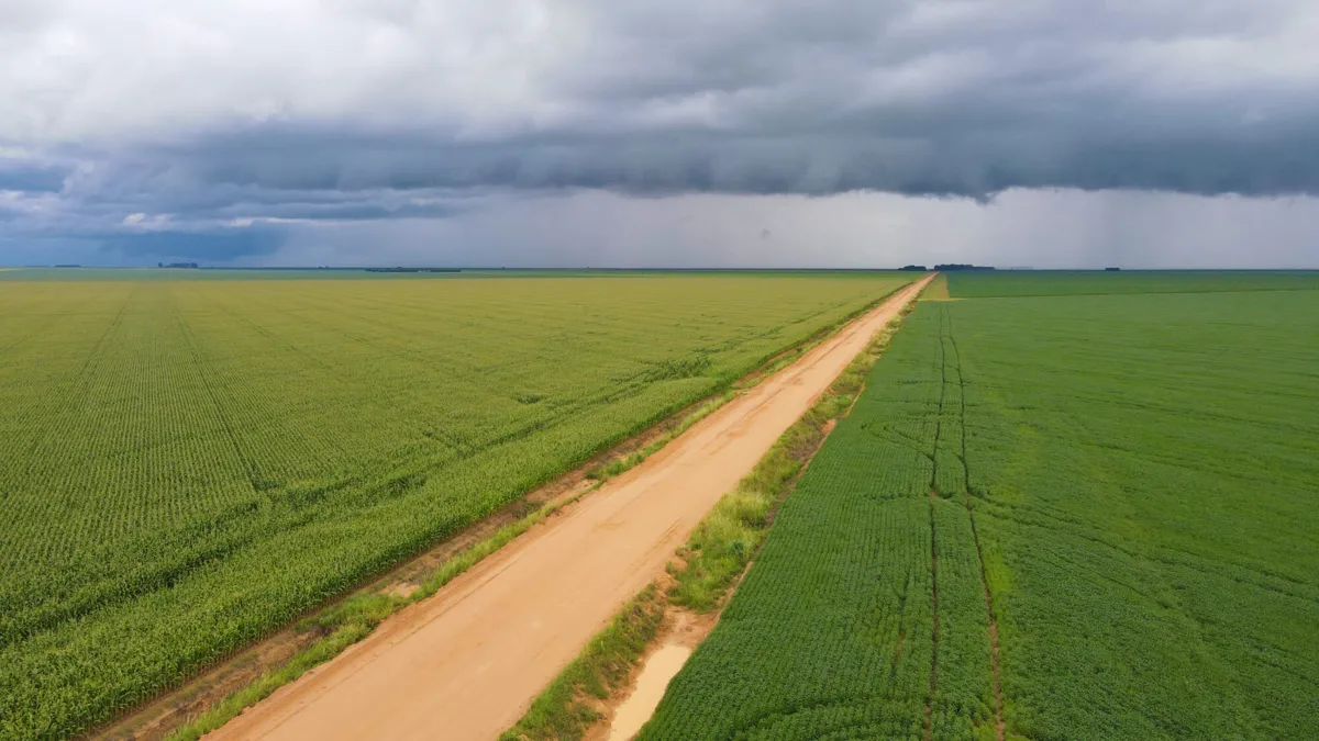 Decisão da corte restabeleceu os poderes dos ministérios da Agricultura e Pecuária e do Meio Ambiente no controle de qualidade dos agrotóxicos