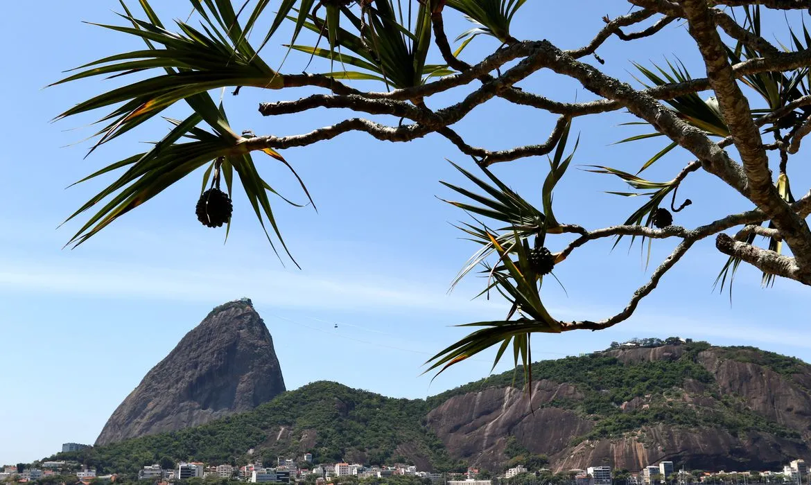 Decisão liminar atendeu a pedido do Ministério Público Federal