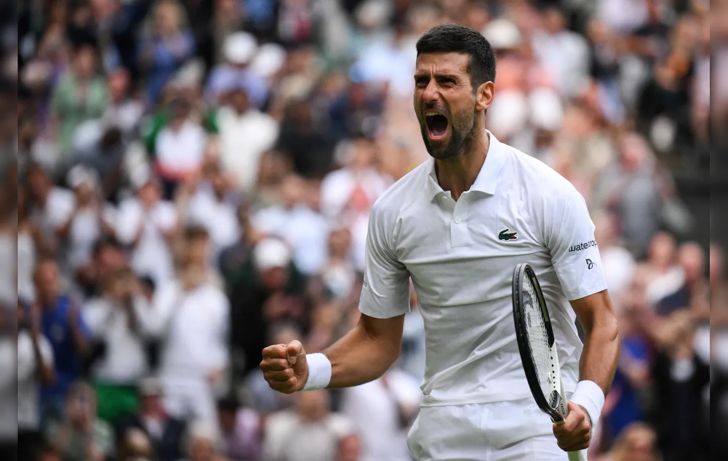 Djokovic celebra classificação para semis de Wimbledon