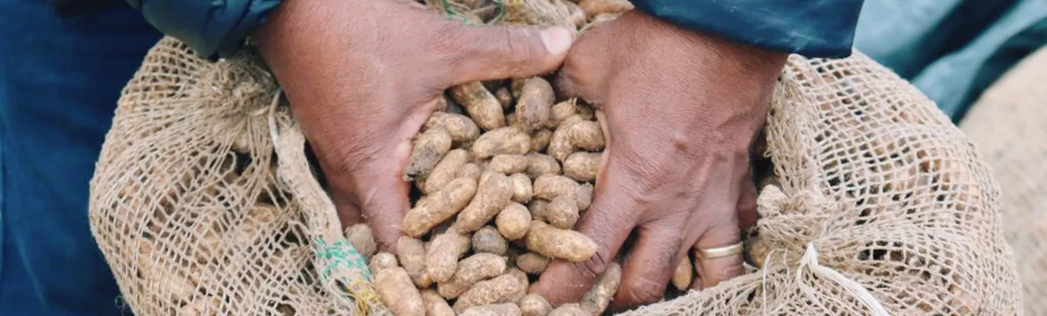 Previsão é de que  Ceasa tenha alta de vendas com comidas do São João