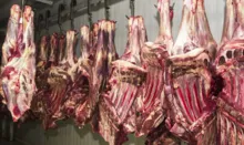Imagem ilustrativa da imagem Estudo aponta que valor da carne pode cair 4% em 2023