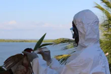 Imagem ilustrativa da imagem Bahia declara Estado de Emergência em combate à gripe aviária