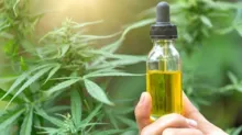 Imagem ilustrativa da imagem Governo Lula estuda regular plantio de Cannabis para fins medicinais