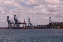 Imagem ilustrativa da imagem Movimentação de portos bate recorde histórico no 1ª semestre de 2023