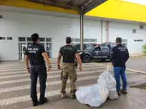 Imagem ilustrativa da imagem Polícia apreende 15 kg de pasta base de cocaína na Operação Correios